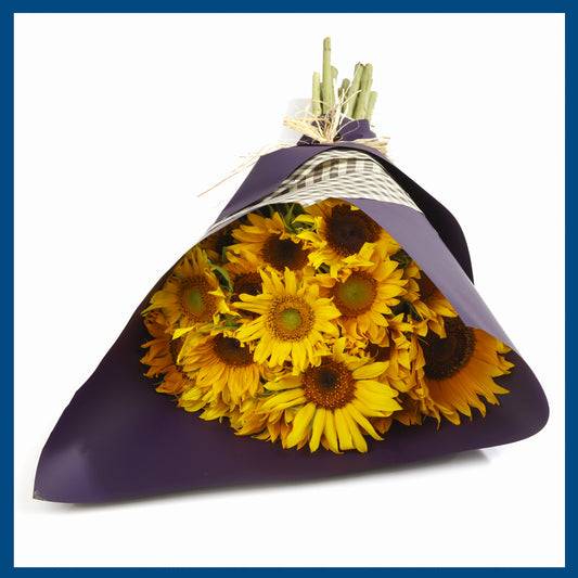 Sunflower Galore