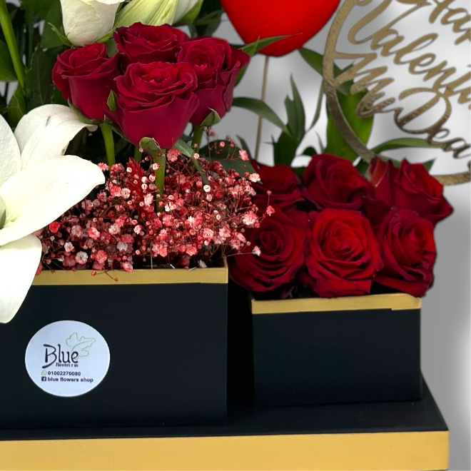 Valentine’s Radiance