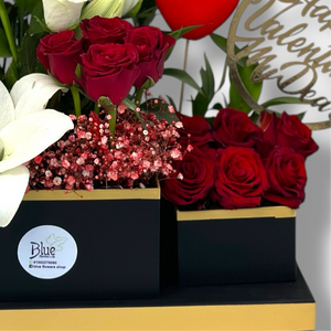Valentine’s Radiance
