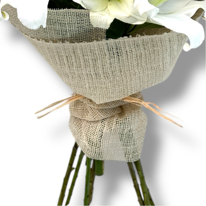 Lily Veil