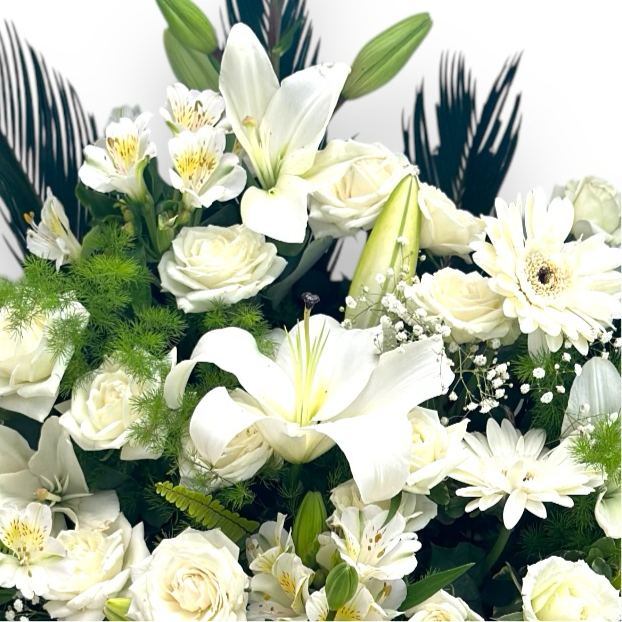 White & White