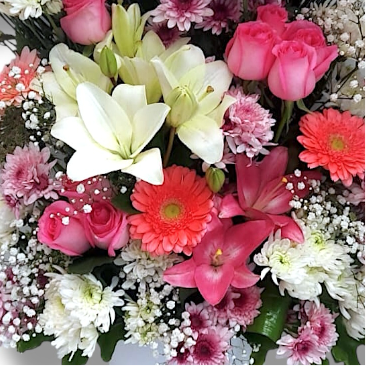 Blooming Bliss