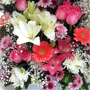 Blooming Bliss