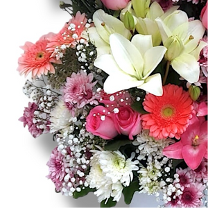 Blooming Bliss