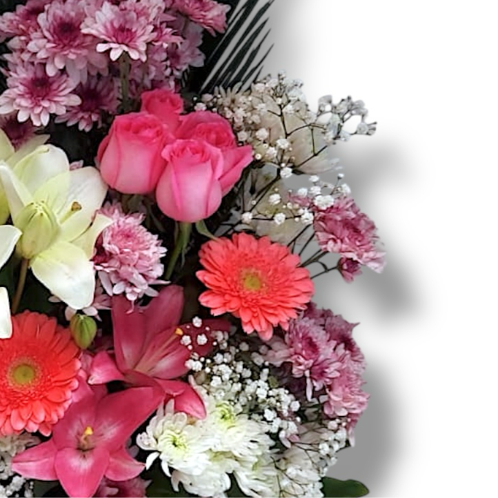 Blooming Bliss