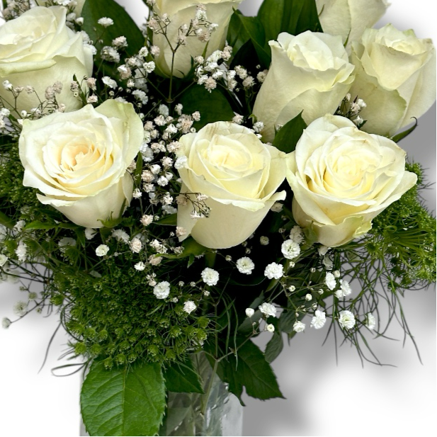 Ivory Elegance