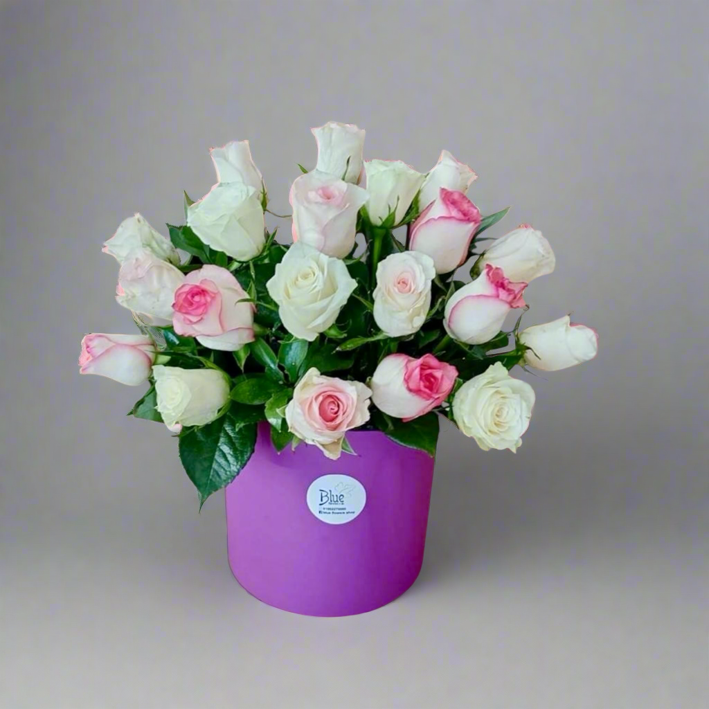 Soft Petal Symphony