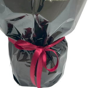 Velvet Passion