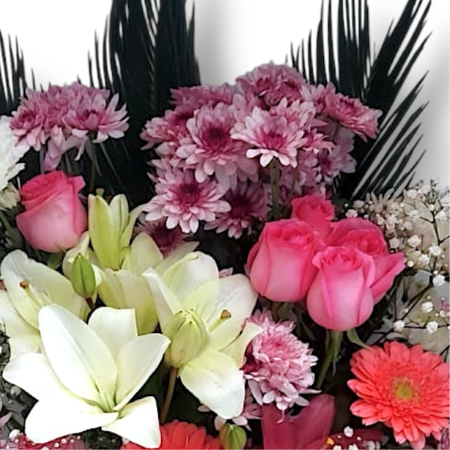 Blooming Bliss
