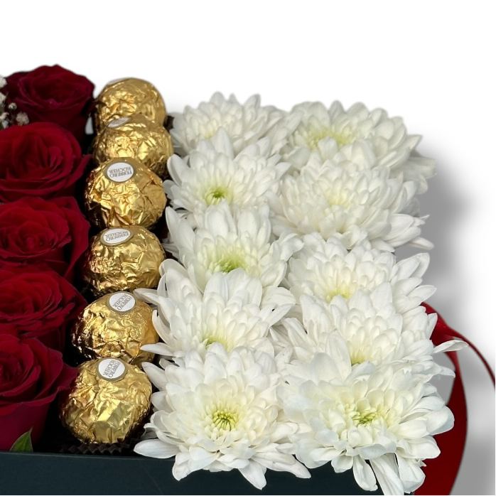 Harmony Elegance Box