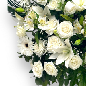 White & White