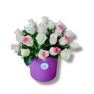 Soft Petal Symphony